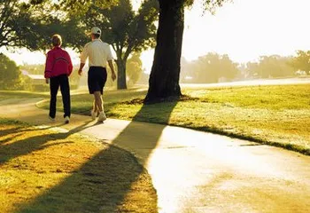 Рыбинские парки отдадут в частные руки