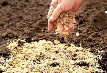 Сергей Ястребов дал старт посевной