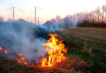 В Ярославской области введён режим ЧС по пожарам