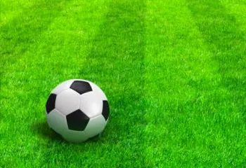 У ЦПЮФ "Шинник" поменялся директор