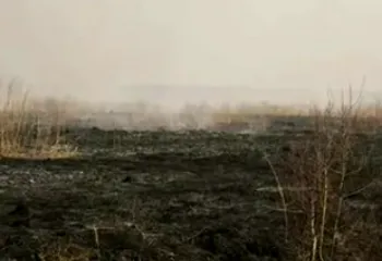 В Ярославской области тушат торфяные пожары