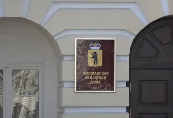 Ярославских депутатов могут лишить мандатов за несданные декларации