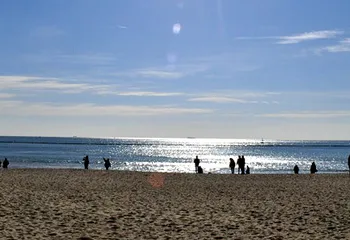 Купальный сезон открыт, а ярославские пляжи «забраковали»