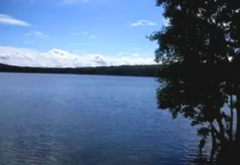 На двух ярославских пляжах вода непригодна для купания