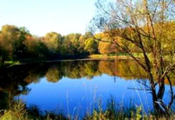 Мэрия Ярославля очистила два городских пруда