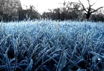 В Ярославской области ожидаются заморозки