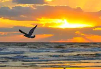 Ярославские турагентства начали продавать путёвки в Турцию