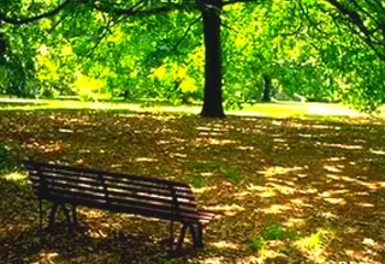 Заволгой в Ярославле вместо многоэтажки сделают сквер