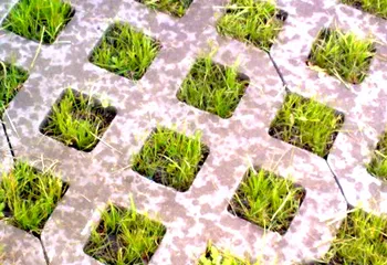 В Ярославле появятся экопарковки