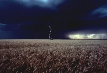 В Ярославле и области синоптики обещают грозы всю неделю