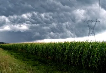 В Ярославле будет жарко и дождливо всю неделю