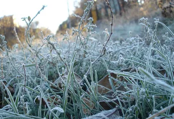 В Ярославле и области на 9 сентября ожидаются заморозки
