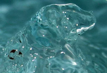 Руководитель задолжавшего 6,5 миллионов "Ярославльводоканала" может предстать перед судом