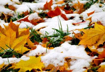 С четверга в Ярославле ожидается снегопад