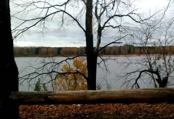 В Ярославской области ночью будет отрицательная температура