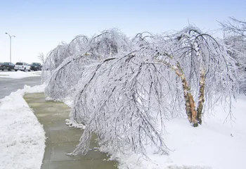МЧС: 26 и 27 ноября в Ярославле будет плохая погода