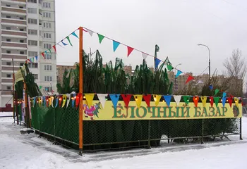 19 декабря в Ярославле начнут работать елочные базары