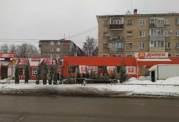 Сегодня в Ярославле открылись ёлочные базары