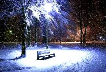 В Ярославле потеплело, но скоро опять похолодает