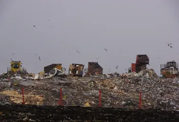 Ярославцы активно подписывают петицию против московского мусора