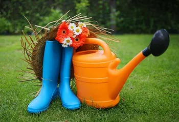 С 1 января 2019 года вступает в силу новый закон о садоводах и огородниках