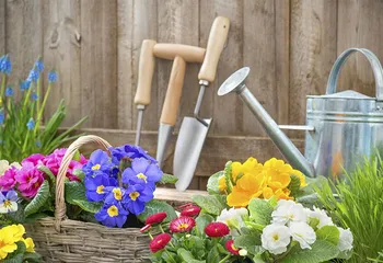 Рекомендации от Кадастровой палаты перед дачным сезоном