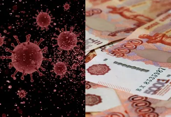 Растет число программ поддержки МСП, как и количество обращений ярославского бизнеса