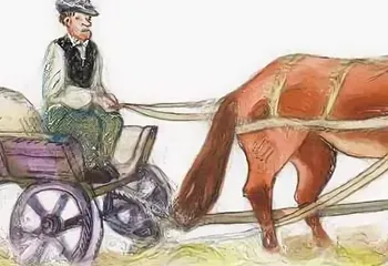 Почтовые крылатые фразы ч. 4 Все на мази