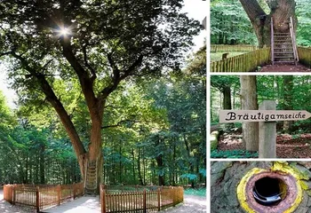 Удивительные и знаменитые почтовые адреса