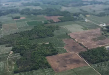 ЕГРН пополнился сведениями о более 800 природных территорий федерального и регионального значения