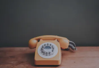 Кадастровая палата запустит горячую линию для жителей России