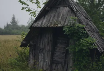 В Кадастровой палате рассказали, как увеличить свой земельный участок за счет «бесхозного»