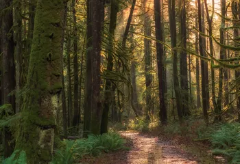 Сведения о Дарвинском заповеднике внесли в Единый государственный реестр недвижимости