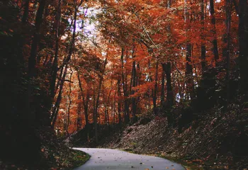 РГС Банк повысил доходность по действующей линейке вкладов