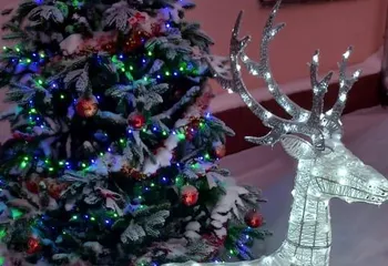 МОЛОДЕЖНЫЙ СОВЕТ УПРАВЛЕНИЯ РОСРЕЕСТРА ПО ЯРОСЛАВСКОЙ ОБЛАСТИ ПОДАРИЛ ПРАЗДНИК ДЕТЯМ