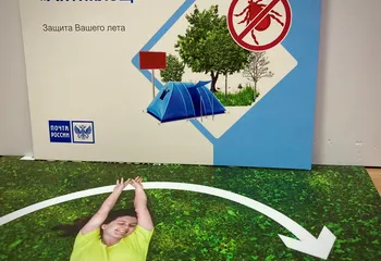 Жители Ярославской области могут приобрести в почтовых отделениях страховку от укусов клещей