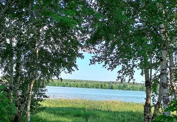 Управление Росреестра по Ярославской области ведет работу по устранению реестровых ошибок в сведениях ЕГРН