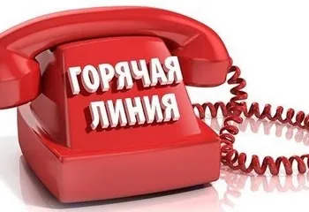 Еженедельная горячая линия