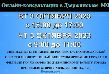 Онлайн - консультации в Дзержинском МФЦ!