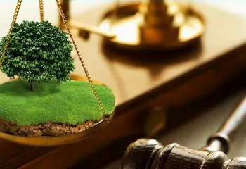 Ярославский Росреестр об основных нарушениях требований земельного законодательства