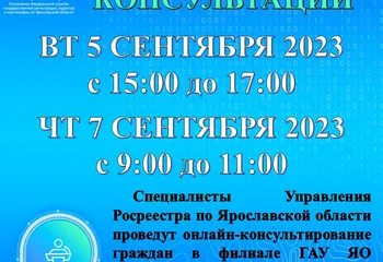 Онлайн-консультации в МФЦ