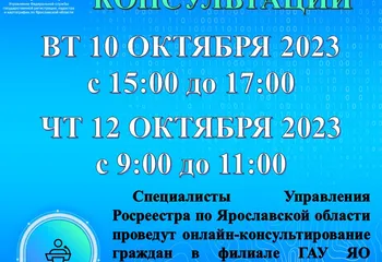 Онлайн - консультации в Дзержинском МФЦ!