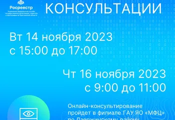 Онлайн - консультации от Росреестра в Дзержинском МФЦ