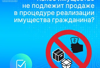 Какое имущество не подлежит продаже в процедуре реализации имущества гражданина?