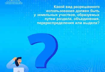 РУБРИКА «Вопрос-ответ»: какой вид разрешенного использования должен быть у образуемых земельных участков?