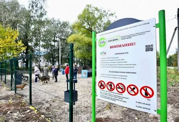 Штрафы за нарушения правил содержания домашних животных и не правильную парковку