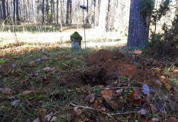 Обследование геодезических и нивелирных пунктов: забота об их сохранности в Ярославской области