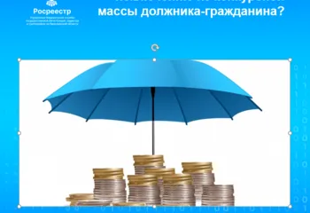 Ярославский Росреестр разъясняет, какие выплаты подлежат исключению из конкурсной массы должника-гражданина