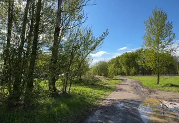 В Ярославле начинается создание аллеи имени Ивана Ткаченко