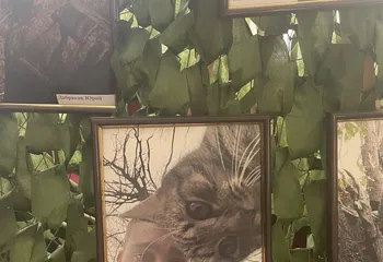 Выставка авторских фоторабот Все СВОи